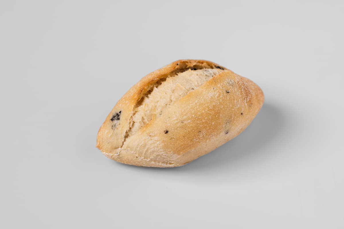 PULGA ACEITUNA NEGRA
